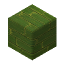 bamboo_board.png