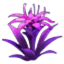 Void Equinox Flower