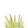 grass1.png