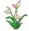 orchid.png