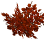 redwood_leaves.png