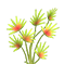 thron_grass1.png