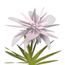 icon309.png icon309.png