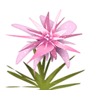 icon310.png icon310.png