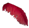 giant_mutated_coconut_leaf.png giant_mutated_coconut_leaf.png