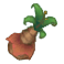 soil-shoot.png soil-shoot.png