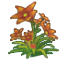 dracaena_flower.png dracaena_flower.png