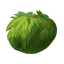 Moss Ball