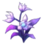 Void Orchid