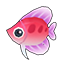 Red Kikifish