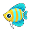 Yellow Kikifish