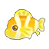 Golden Clownfish