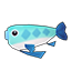 Light Blue Gugufish
