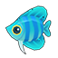 Light Blue Kikifish