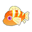 Orange Clownfish