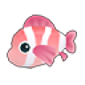 Pink Clownfish