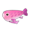 Pink Gugufish