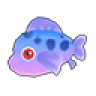 Purple Clownfish