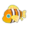 Stripled Clownfish