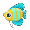 Yellow Kikifish