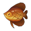 Roast Kikifish